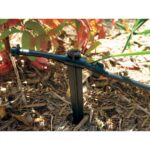 Rainbird Xeri-Bug XB-20 Pressure-Compensating Drip Emitter, 2.0 GPH, Red, Self-Piercing, UV-Resistant - Image 6